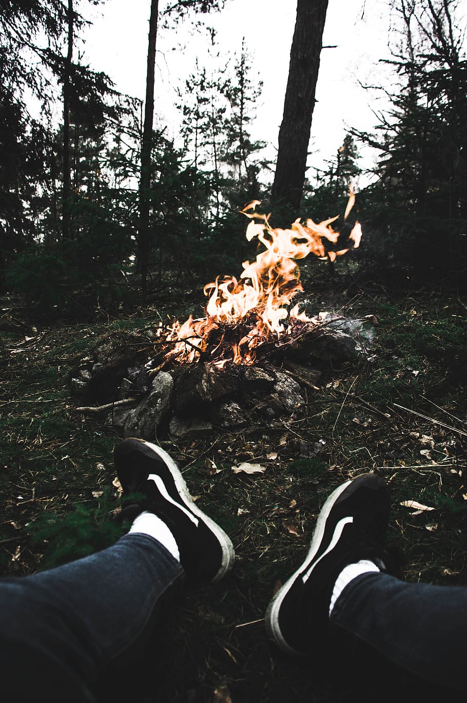 czechia, forrest, fire, vans, land, tree, plant, nature, low section HD wallpaper
