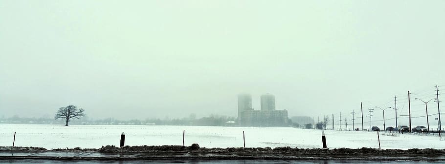 fog, ottawa, winter, cold temperature, snow, sky, tree, environment HD wallpaper