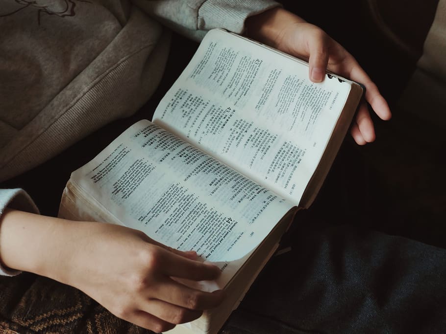 person reading book, human hand, publication, human body part HD wallpaper