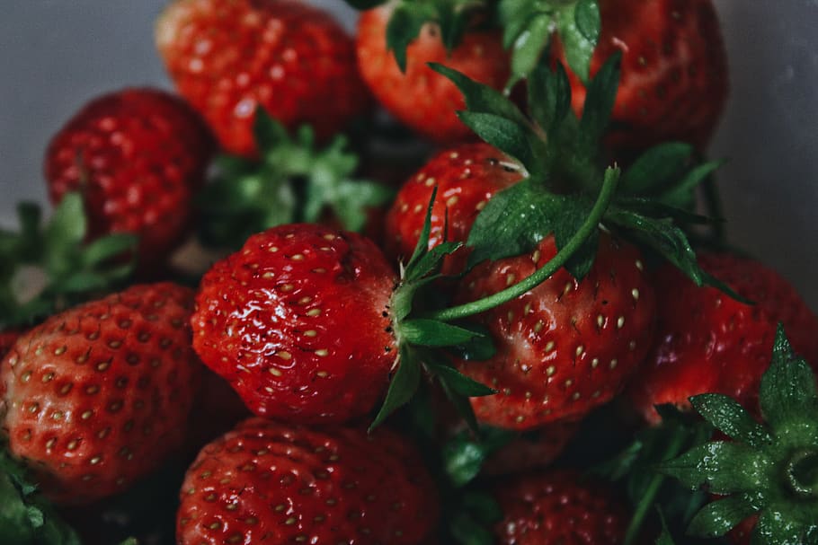 russia, sarmanovo, fruit, summer, tasty, strawberry, green, HD wallpaper