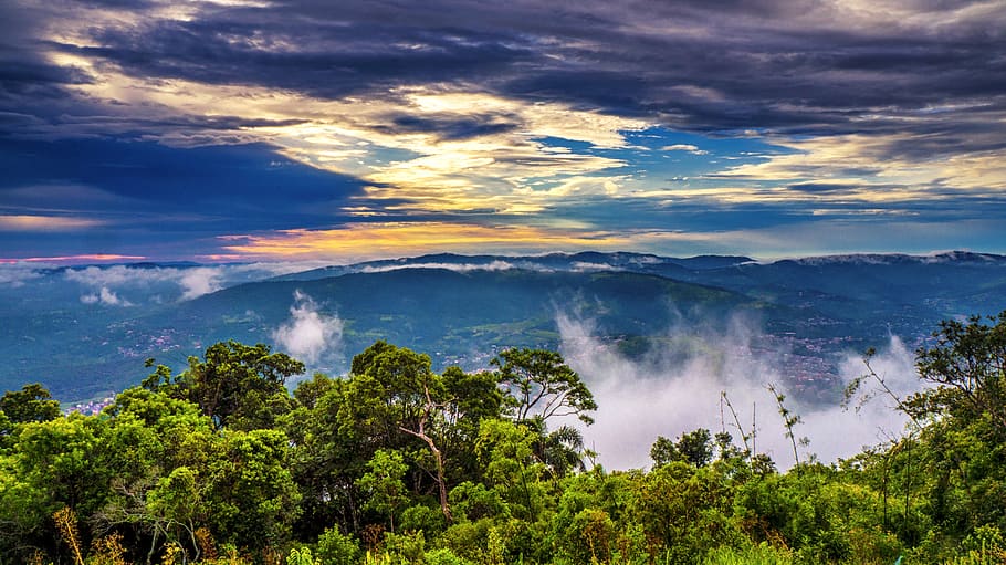 dawn, nature, forest, sky, landscape, tree, clouds, light, fog, HD wallpaper