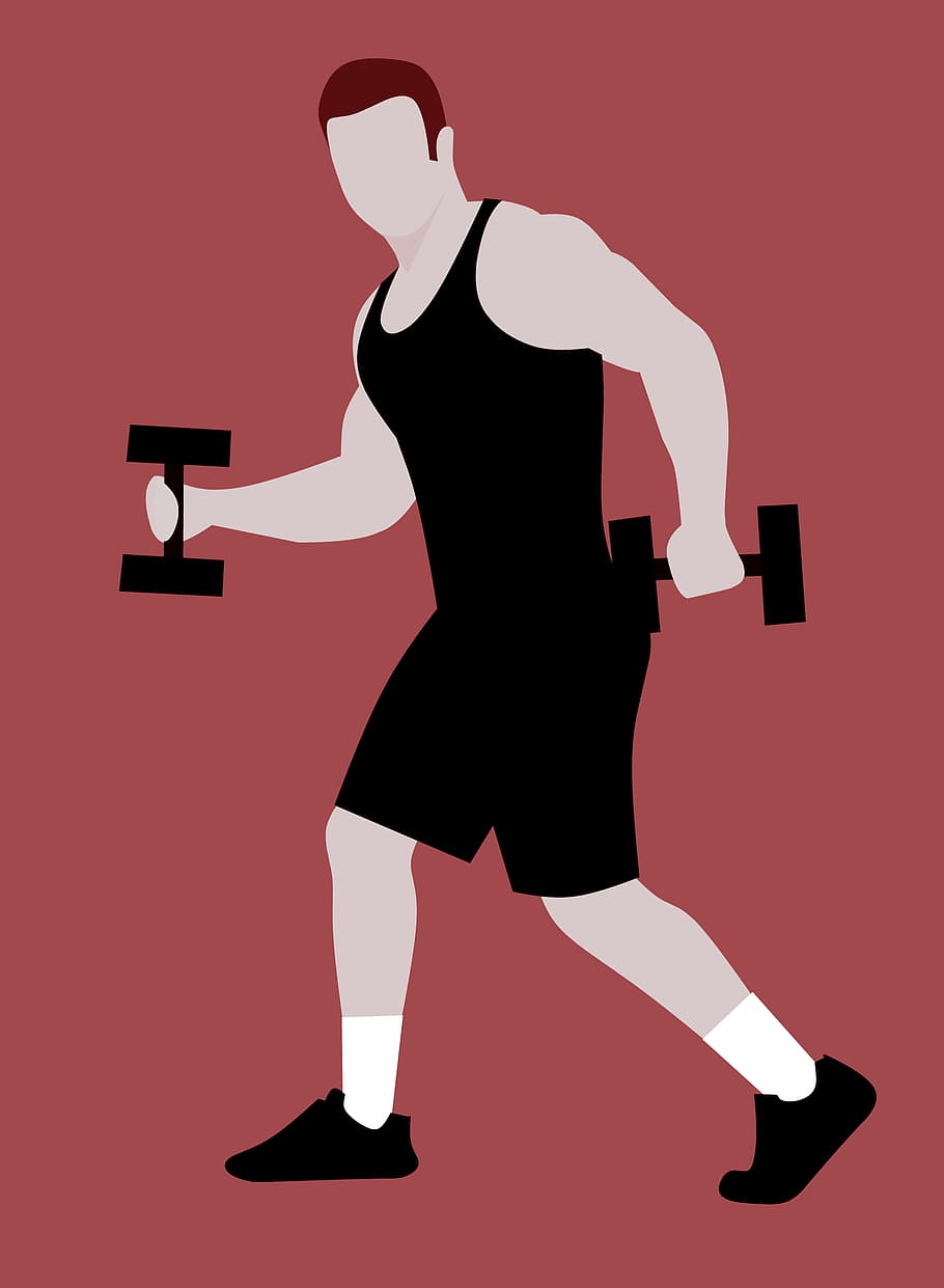 Man working out with weights - illustration., bodybuilding, gym, HD wallpaper