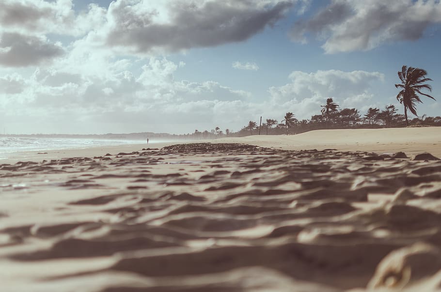 Brown Sands Under Blue Skies Photography, beach, brazil, close-up HD wallpaper