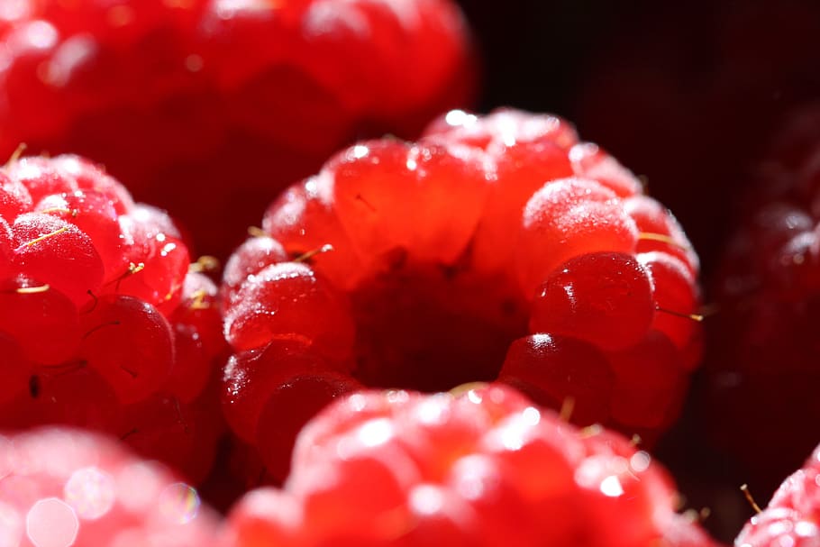 raspberry, macro, vitamin, bio, summer, red, fresh, health HD wallpaper