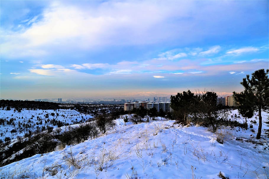 snow, winter, white, nature, city, cold, trees, mountains, snowy HD wallpaper