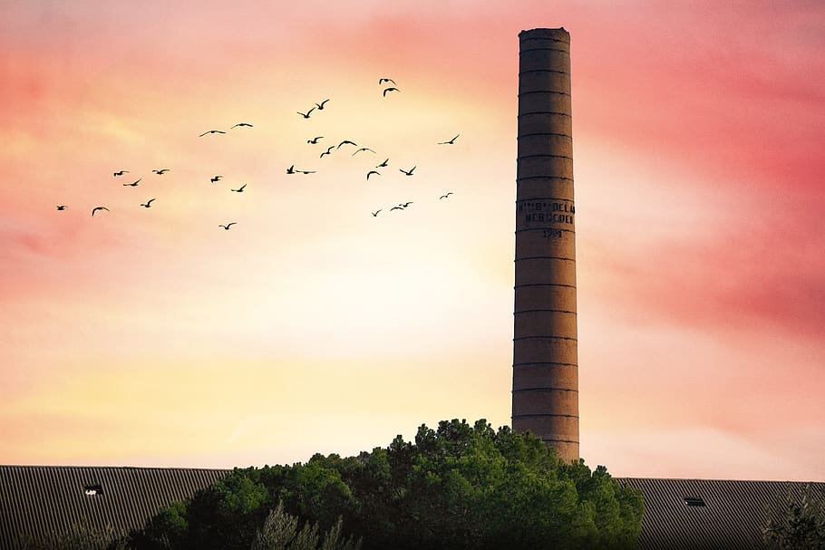 sky, clouds, birds, fireplace, sunset, animal themes, vertebrate HD wallpaper
