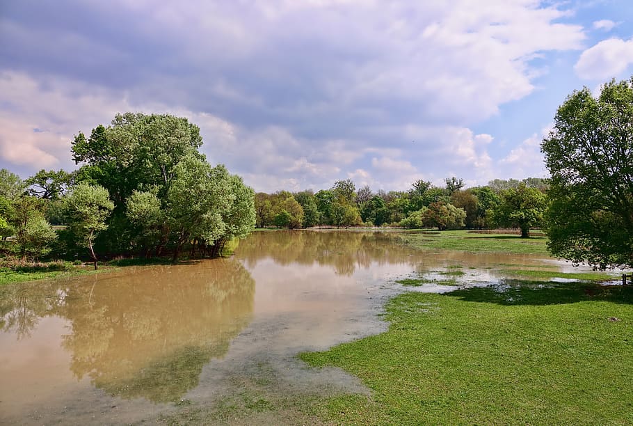 tree, nature, waters, river, landscape, flood, landscape water HD wallpaper