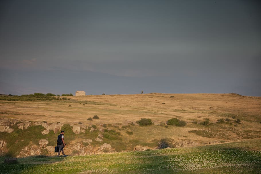 armenia, saghmosavan, field, wield, the traveler, nature, fields of gold HD wallpaper