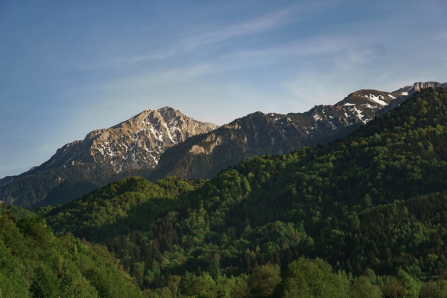 forest, trees, mountain, landscape, green, sky, sunset, snow HD wallpaper
