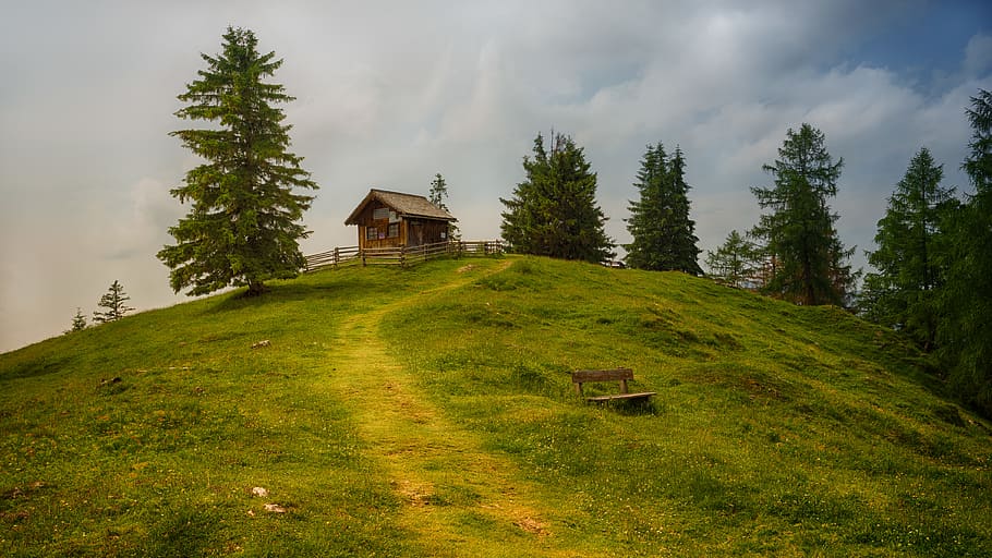 Brown Wooden House, cabin, daylight, grass, hill, hut, plant HD wallpaper