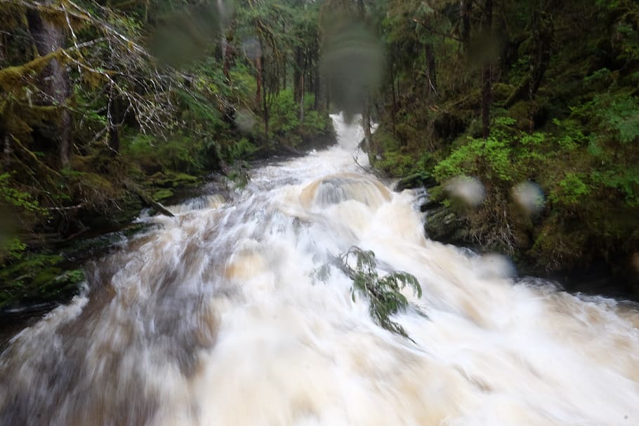 ketchikan, united states, river flow, flood, alaska, motion, HD wallpaper