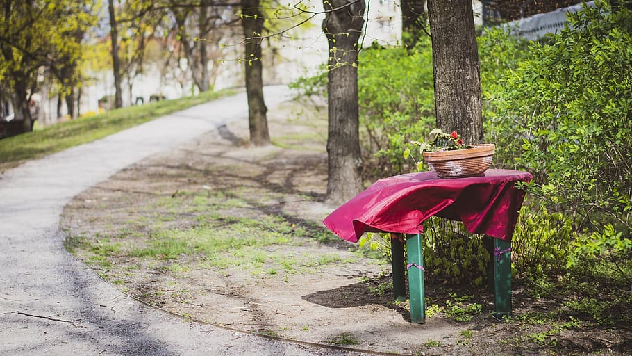 bench, park, tree, table, nature, forest, grass, green, garden HD wallpaper