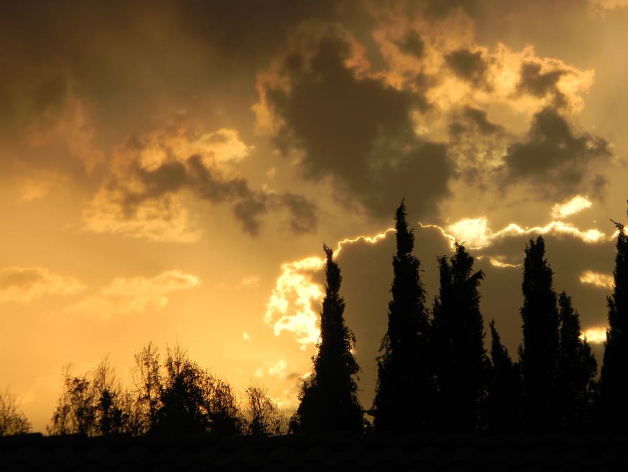 sunset, trees, dusk, clouds, sky, cloud - sky, silhouette, beauty in nature HD wallpaper