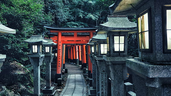 HD wallpaper: orange and black torii gate, Japan, temple, Kyoto ...
