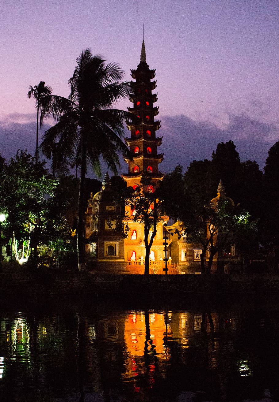 night photography, reflection, temple, tree, sky, water, architecture HD wallpaper