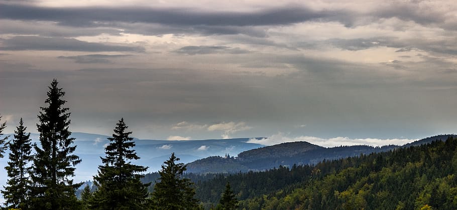 view, cloud, sky, trees, forest, nature, cloud - sky, scenics - nature HD wallpaper