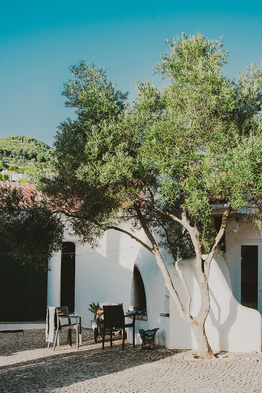 Green Leafed Tree Beside White Concrete House, architecture, building HD wallpaper