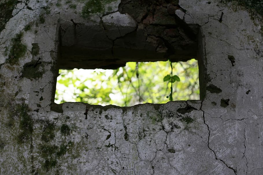 detail, concept, window, no people, architecture, old, day HD wallpaper