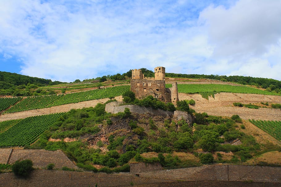 castle, sky, landscape, clouds, fortress, the past, history HD wallpaper