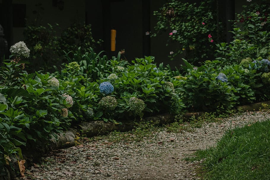 flowers, way, stone, path, plants, flower pot, wallpaper, wallpaper hd HD wallpaper