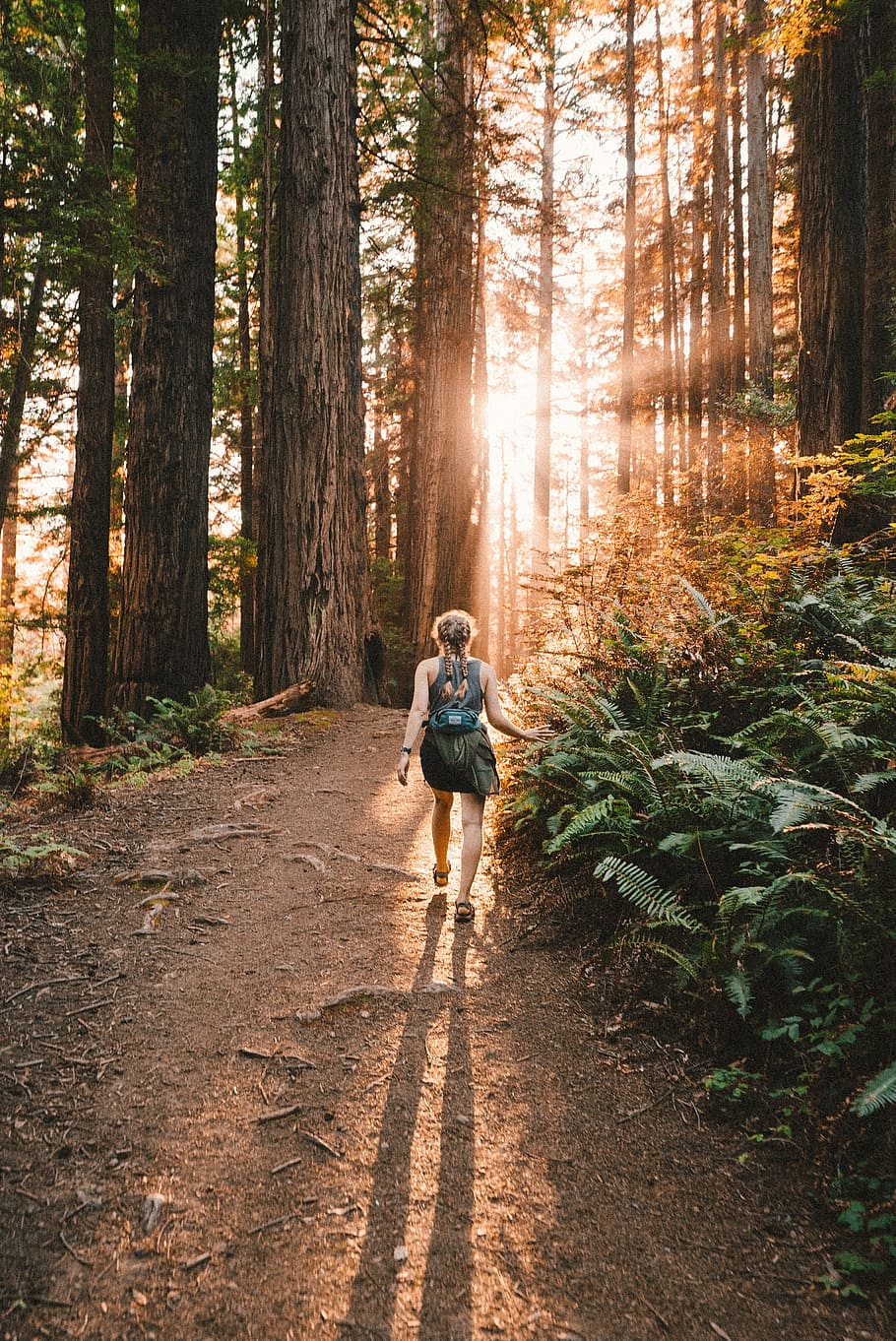 woman, forest, path, trail, sunlight, shadow, ray, glow, tree HD wallpaper