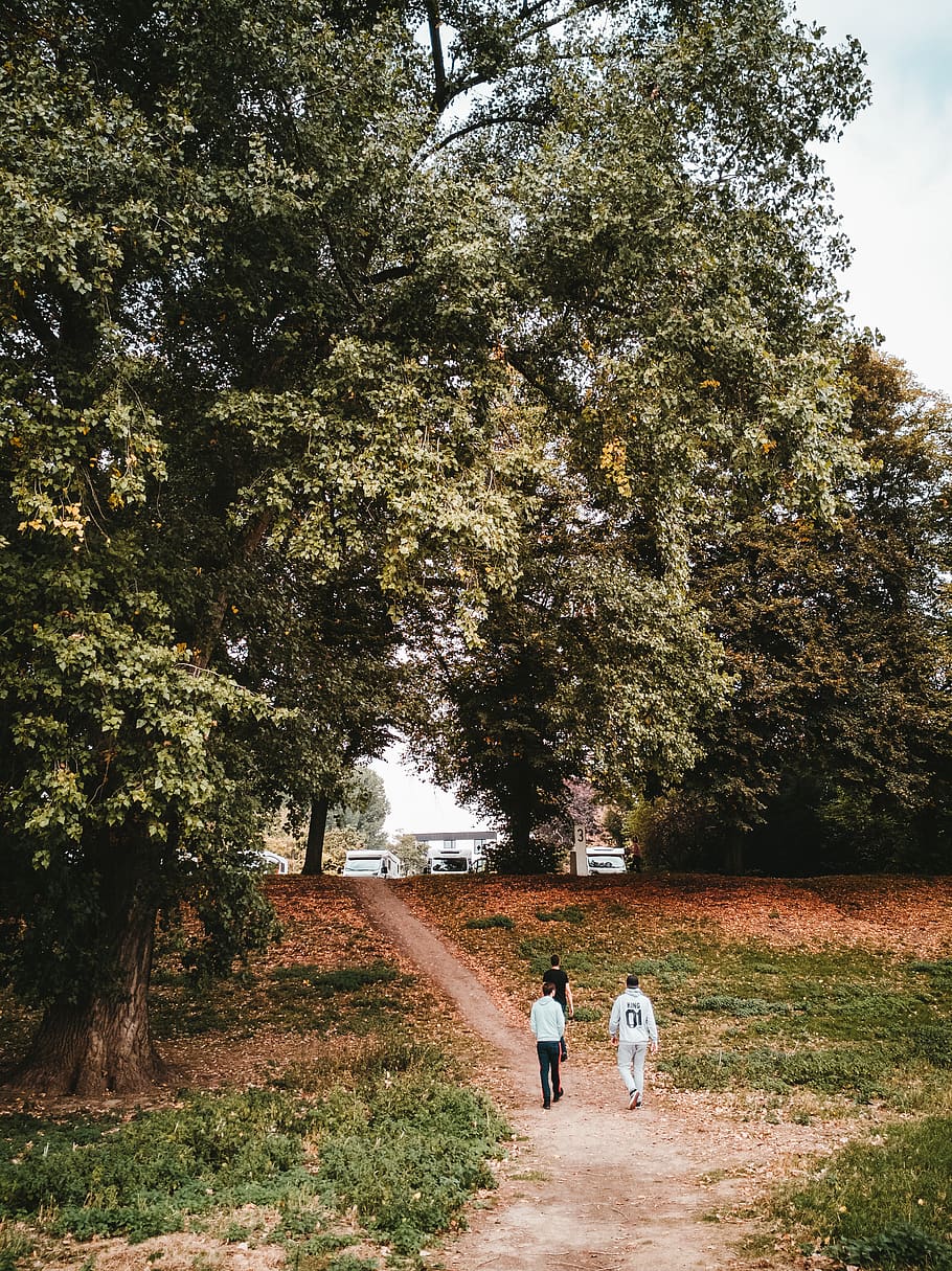 three men walking on pathway during daytime, cologne, germany HD wallpaper