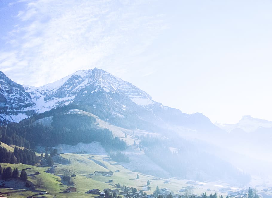 froest, tree, blue, sky, winter, snow, be, to, born, borntobe HD wallpaper