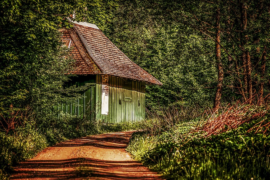 hut, roadside, forest, log cabin, nature, forest lodge, idyllic HD wallpaper