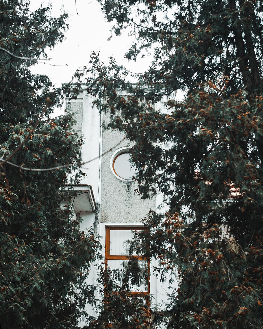 Grey and White Building, architecture, colors, daylight, environment HD wallpaper