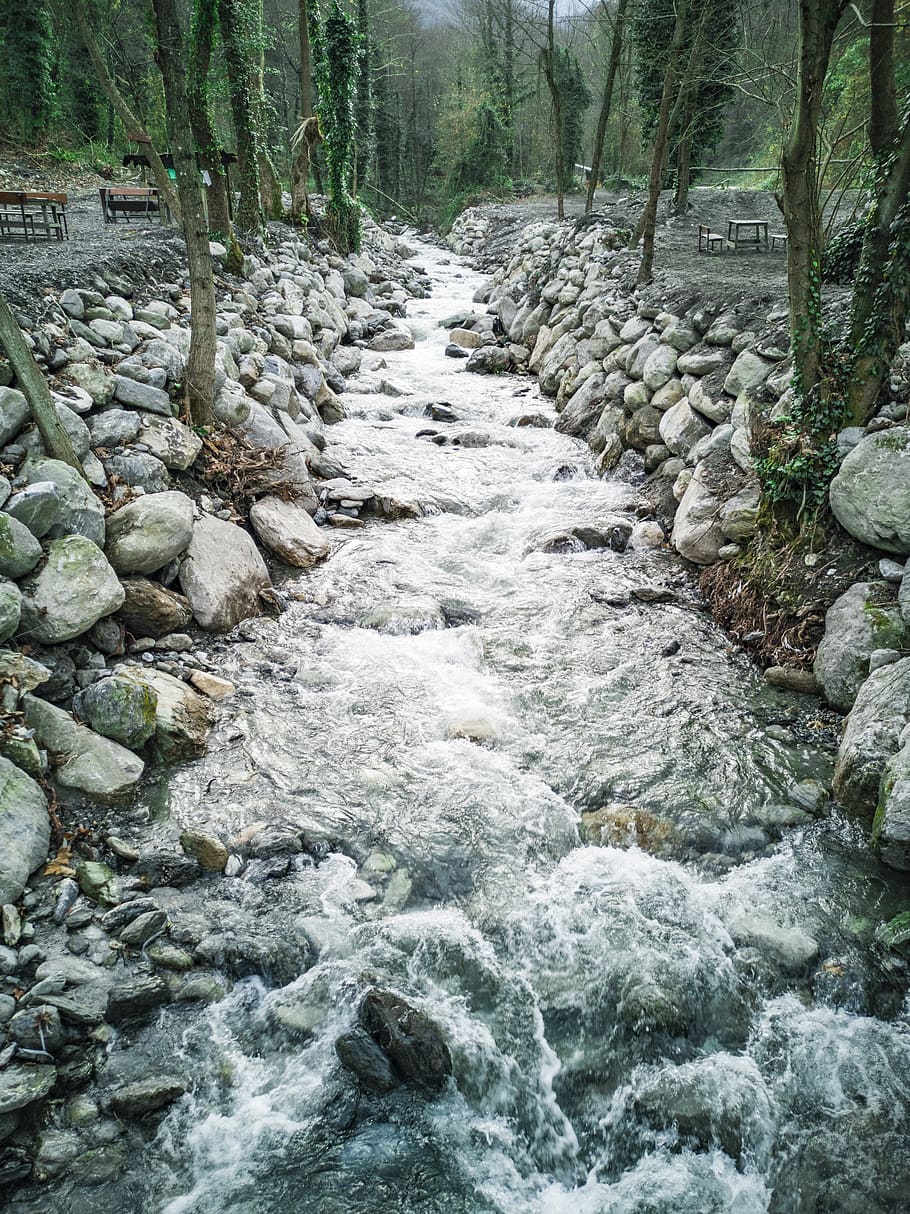 streaming, nature, forest, flowing water, rock, solid, river HD wallpaper