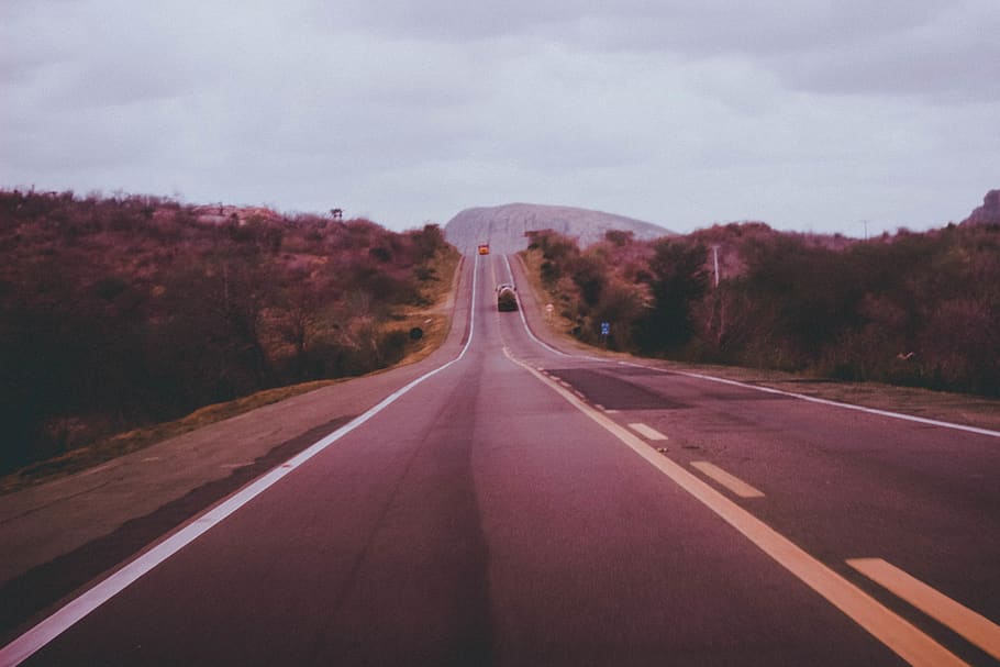 road, forest, trees, old, vintage, tumblr, transportation, direction HD wallpaper