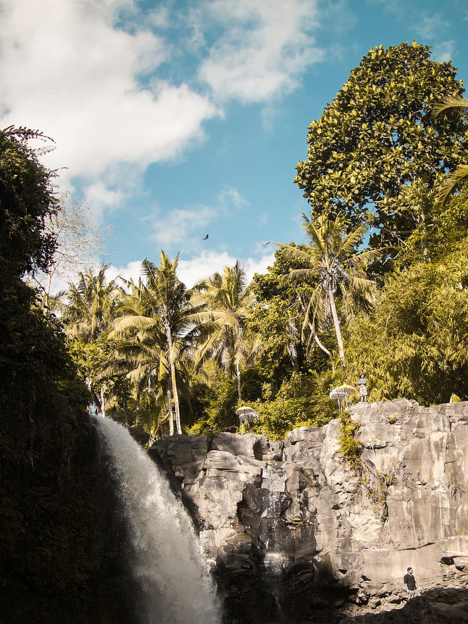 indonesia, bali, plant, tree, sky, cloud - sky, nature, beauty in nature HD wallpaper