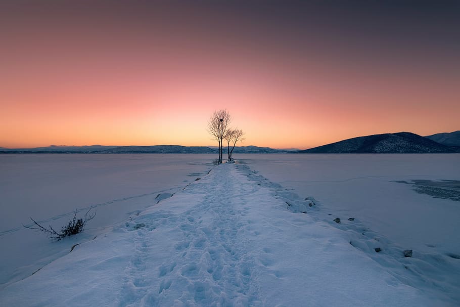 winter, ice, cold, snow, frozen, frost, landscape, nature, wintry HD wallpaper