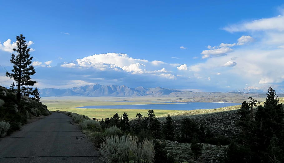 lake, california, trees, view, road, blue sky, outdoors, beauty in nature HD wallpaper