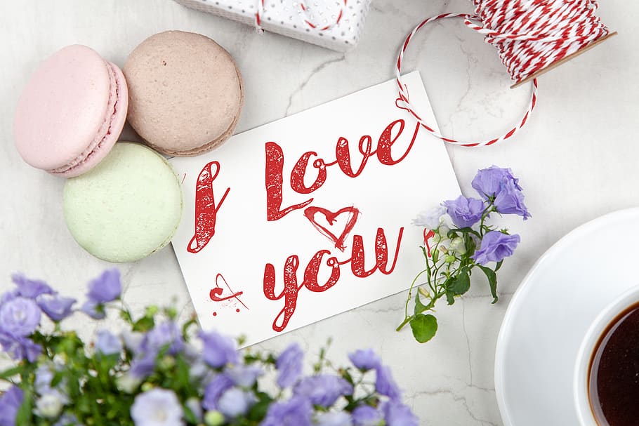 I Love You Signage, background, best, blossom, card, celebration HD wallpaper