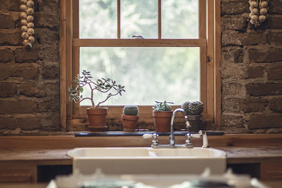 Kitchen Sink, various, brick, cactus, garlic, plant, rustic, sill, HD wallpaper