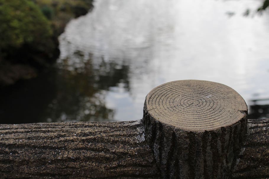 wood, log, water, river, japan, park, tree, wood - material HD wallpaper