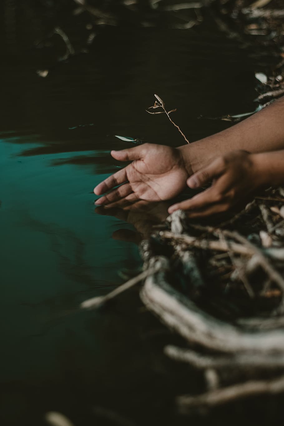 Person's Hands on Body of Water, arm, dark, flotsam, lake, man HD wallpaper