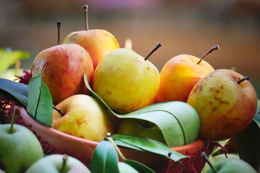 harvest, autumn, apple, leaf, shell, deco, delicious, healthy HD wallpaper