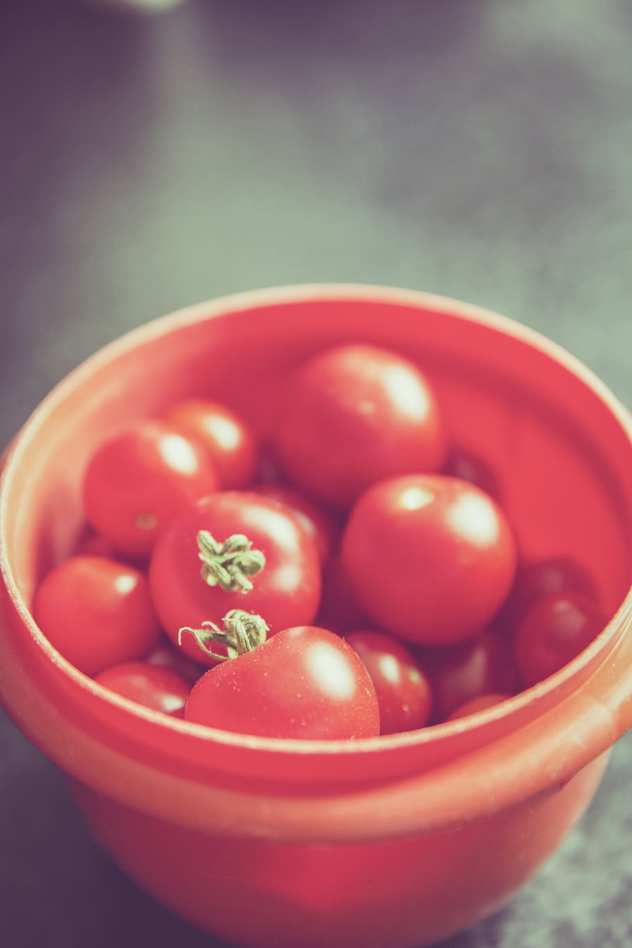 Red Tomato on Orange Round Plastic Container, fresh, harvest HD wallpaper