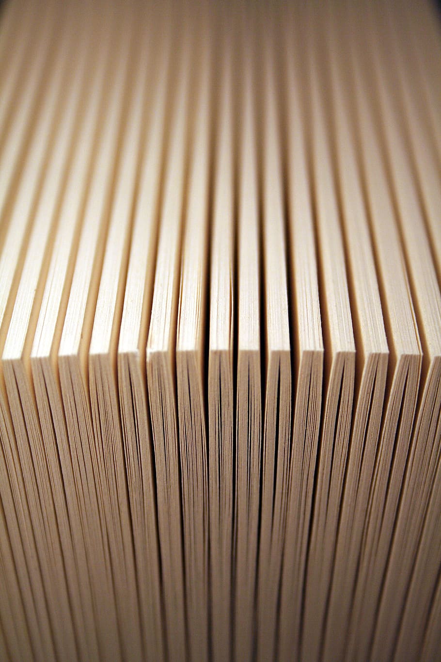 read, chapter, book, paper, page, pages, text, literature, education HD wallpaper