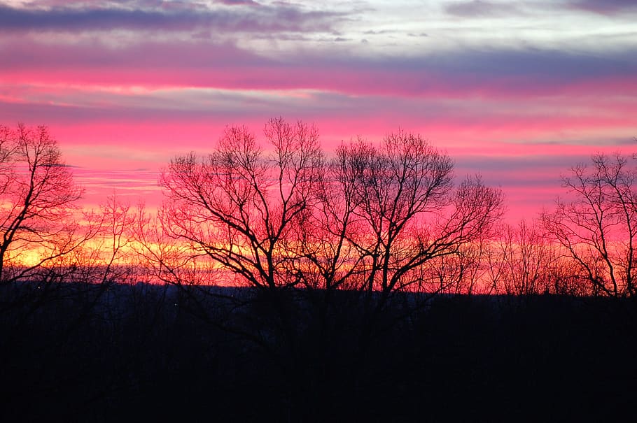 Morning Sky Images - Free Download on Freepik