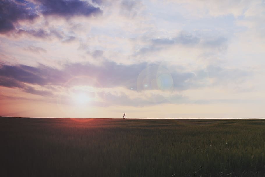 Grass Field Sunrise, landscape, sunset, sky, environment, scenics - nature HD wallpaper