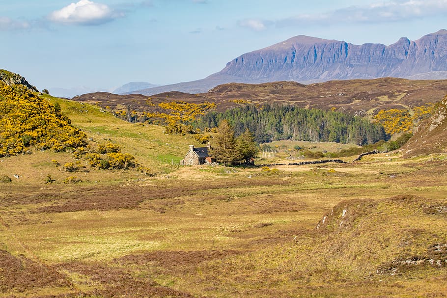 lochinver, united kingdom, cnocnaneach, scotland, mountain, HD wallpaper