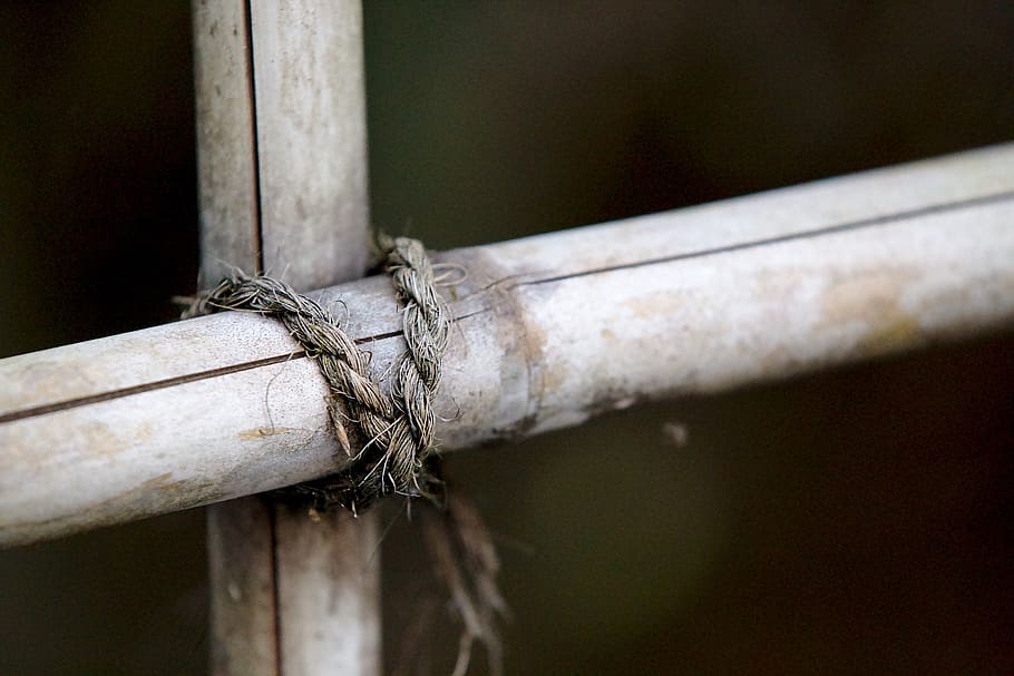 bamboo, cord, japan, grid, close-up, no people, wood - material HD wallpaper