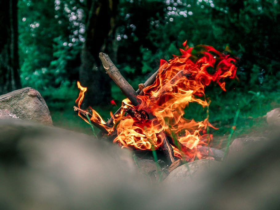 Bonfire Burning, camping, flame, heat, hot, fire - natural phenomenon HD wallpaper