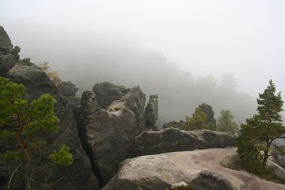 fog, gray, green, rocks, trees, plant, nature, beauty in nature HD wallpaper
