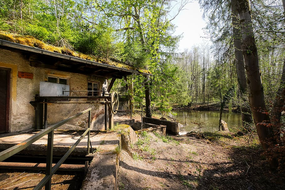 hut, forest, glade, nature, landscape, house, scenic, water HD wallpaper