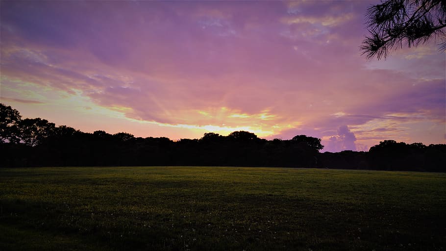 sunset, southampton, uk, sky, plant, tree, grass, tranquil scene HD wallpaper