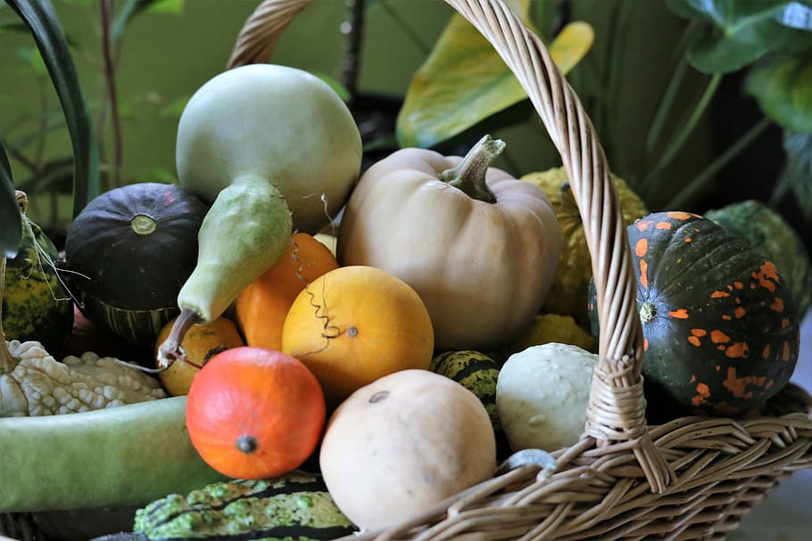 basket, pumpkins, autumn decoration, decorative, colorful, vegetables, HD wallpaper